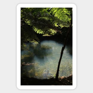 Pond in a hidden forest Sticker